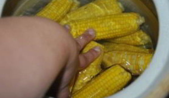 консервированная кукуруза в початках на зиму