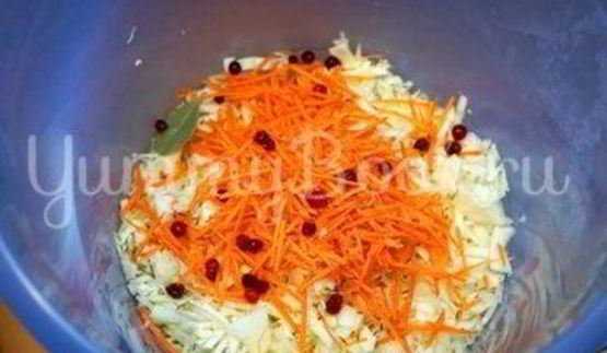 квашеная капуста с клюквой