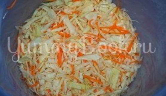 квашеная капуста с клюквой