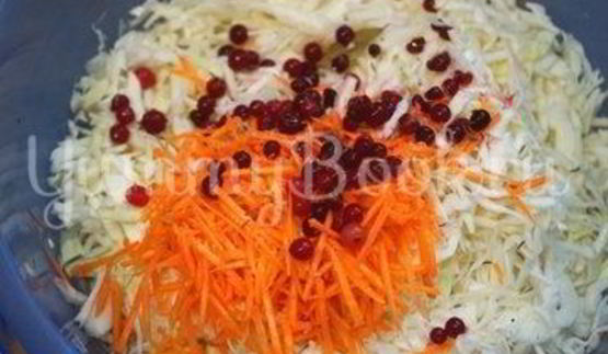 квашеная капуста с клюквой