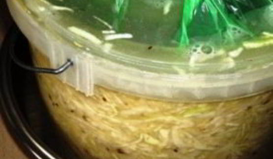 квашеная капуста с укропом