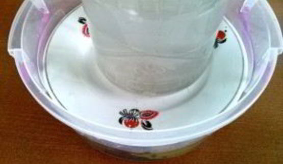 квашеные баклажаны с морковкой