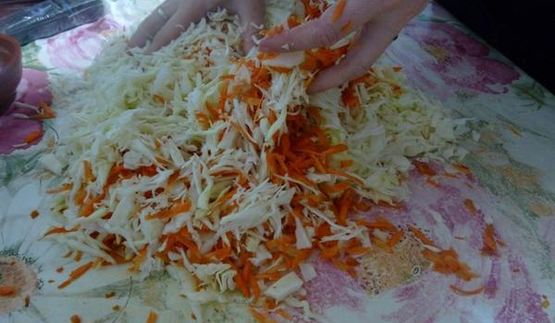 капуста быстрая, маринованная за 1 день