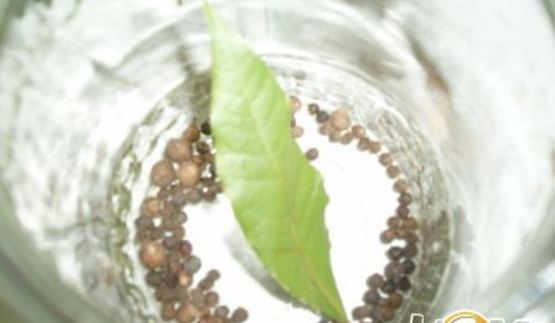 маринованная соломка из болгарского перца