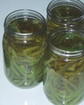 Маринованная стручковая фасоль