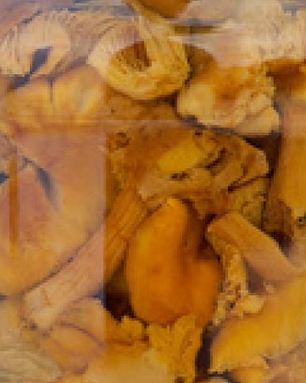 Маринованные лисички