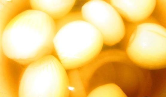 маринованные луковки