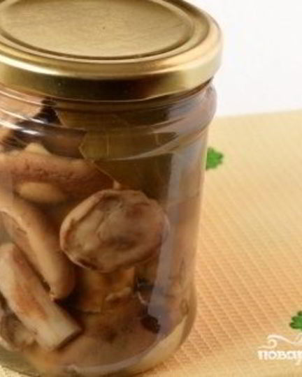 Рецепт маринованных маслят с горчицей