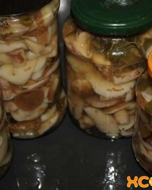 Маринованные маслята