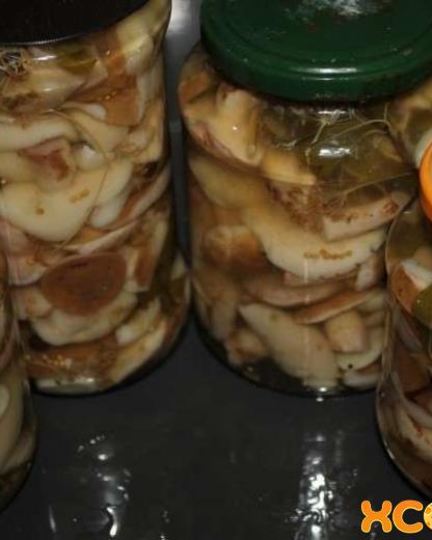 Рецепт маринованных маслят
