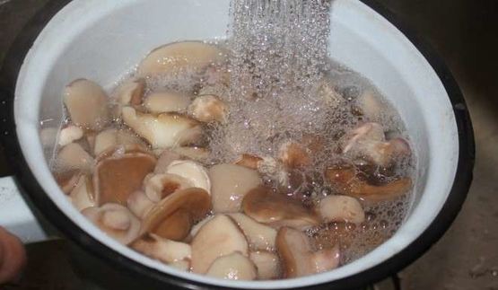 маринованные маслята