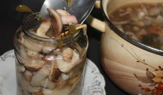 маринованные маслята