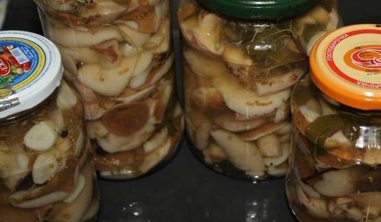 маринованные маслята