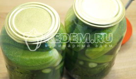 маринованные огурцы на зиму в банках