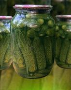 Маринованные огурцы по-болгарски на зиму