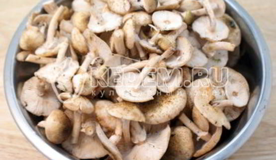 маринованные опята на зиму