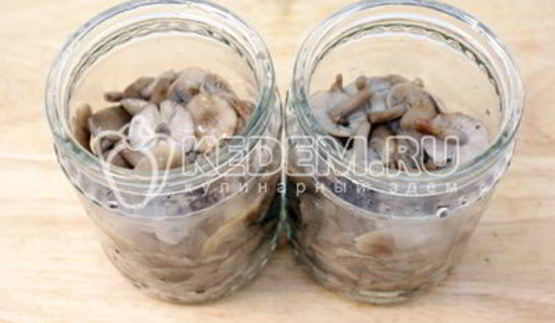 маринованные опята на зиму