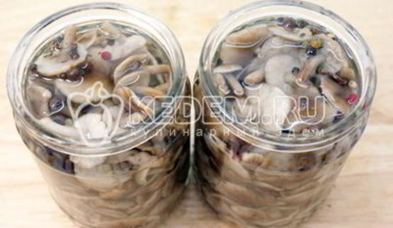маринованные опята на зиму