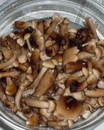 Маринованные опята в масле