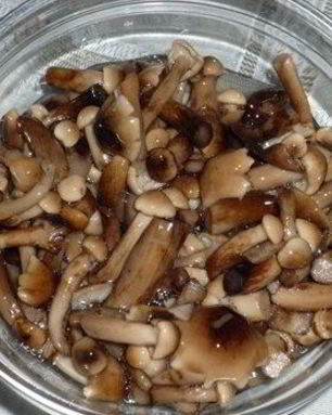 Маринованные опята в масле