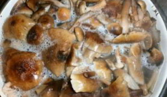 маринованные опята в масле