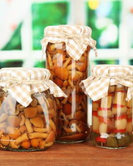 Рецепт маринованных опят