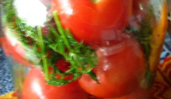 маринованные помидоры медовые