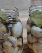Маринованные шампиньоны