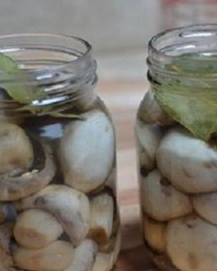 Рецепт маринованных шампиньонов