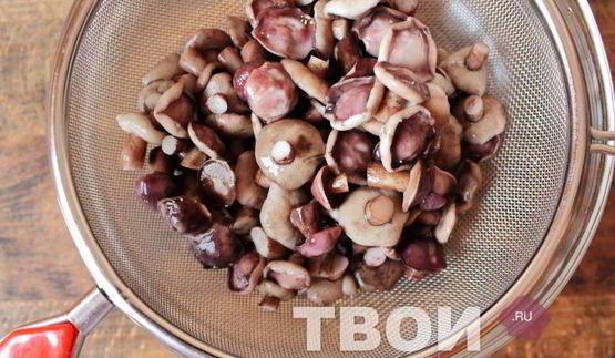 маслята маринованные