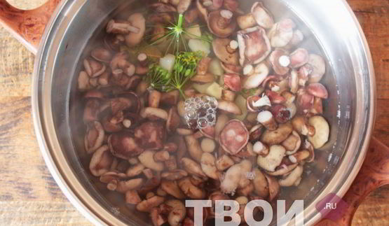 маслята маринованные