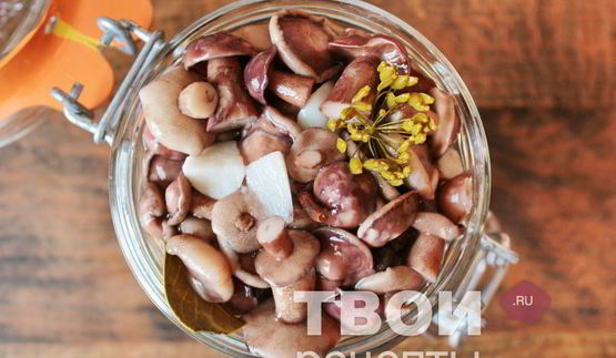 маслята маринованные