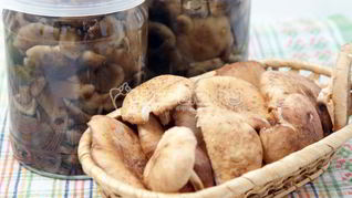 Маринованные опята