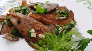 Маринованные вешенки