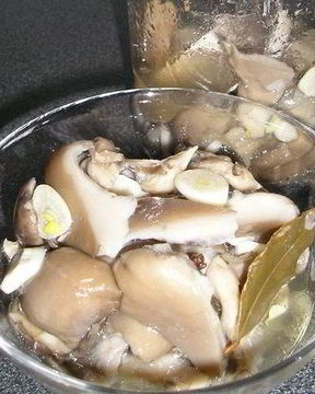 Вешенки, маринованные на закуску