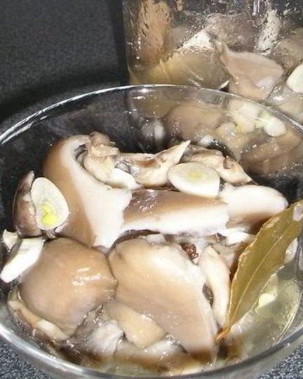 Рецепт вешенок, маринованных на закуску