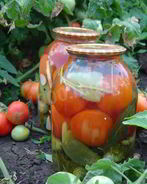 Огурцы с помидорами Овощное ассорти