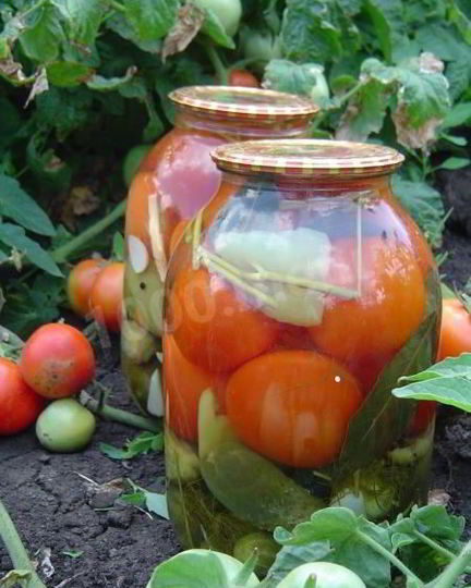 Рецепт огурцов с помидорами овощное ассорти