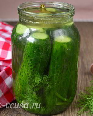 Быстрые малосольные огурцы в банке
