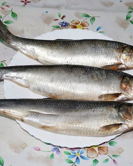 Рецепт домашней соленой селедки