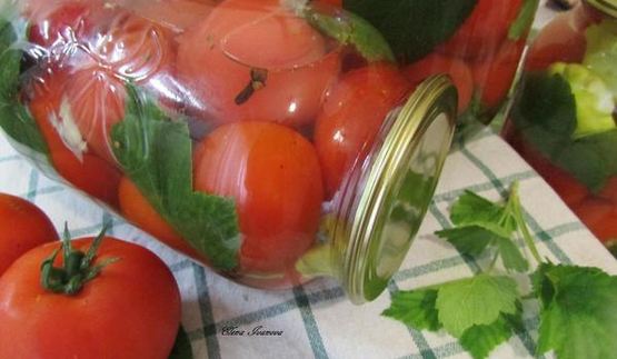 консервированные помидоры