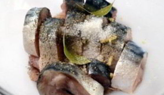 малосольная скумбрия