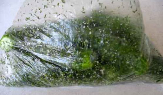 малосольные огурчики без рассола