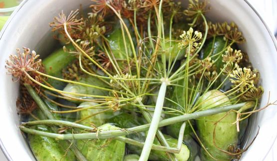 малосольные огурчики на минералке