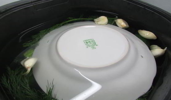 малосольные огурчики в минеральной воде