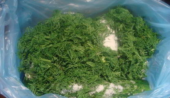 малосольные огурцы без рассола