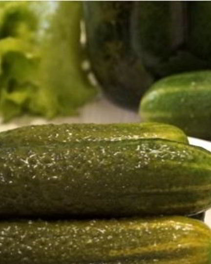 Рецепт малосольных огурцов в банке