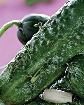 Малосольные огурцы в кастрюле