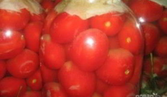 малосольные помидоры с горчицей