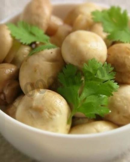 Рецепт малосольных шампиньонов